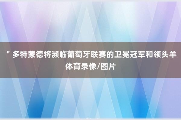 ＂多特蒙德将濒临葡萄牙联赛的卫冕冠军和领头羊体育录像/图片