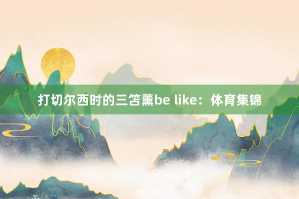 打切尔西时的三笘薰be like：体育集锦