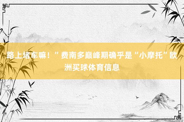 路上堵车嘛！”费南多巅峰期确乎是“小摩托”欧洲买球体育信息