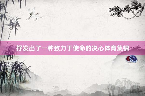 抒发出了一种致力于使命的决心体育集锦