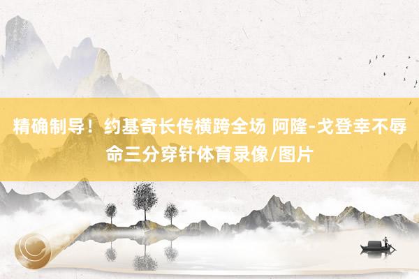 精确制导！约基奇长传横跨全场 阿隆-戈登幸不辱命三分穿针体育录像/图片