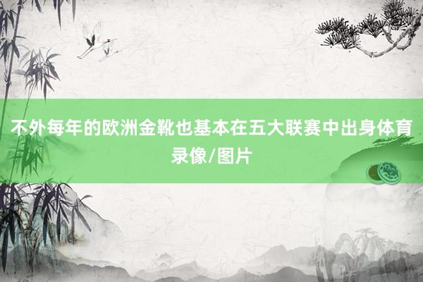 不外每年的欧洲金靴也基本在五大联赛中出身体育录像/图片