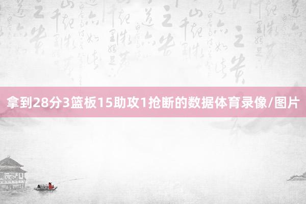 拿到28分3篮板15助攻1抢断的数据体育录像/图片