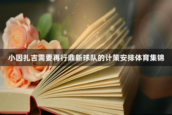 小因扎吉需要再行鼎新球队的计策安排体育集锦