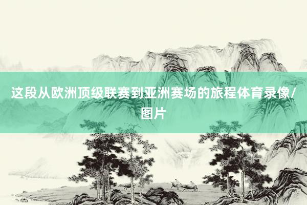 这段从欧洲顶级联赛到亚洲赛场的旅程体育录像/图片